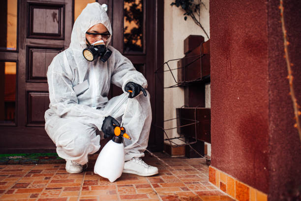 Reliable Cockroach Control contractor in Hazlehurst, MS by Nex Pest Control